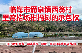 临海市涌泉镇西翁村里湾桔场柑橘树的承包权